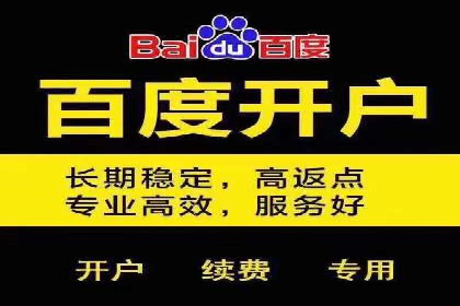 成功案例：sem竞价托管的智慧与策略